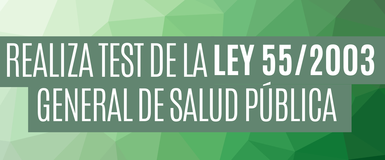 memory-test-realiza-test-de-la-ley-55-2003-del-16-de-diciembre-de-los